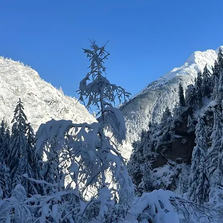 Camillou Σαλέ La Plagne